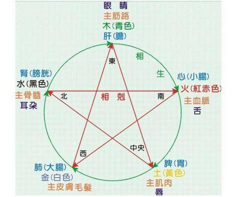 思 五行屬性|五行中的思：驚喜發現